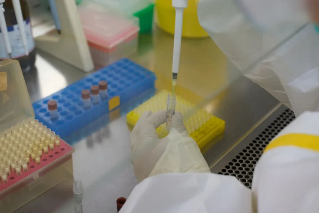 核酸檢測又降價！多地增設24小時檢測服務機構